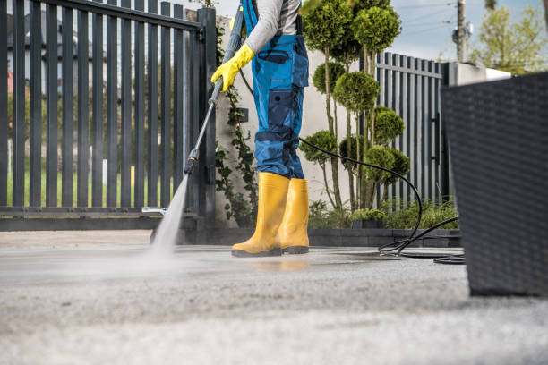 Best Roof Washing  in Belvedere, CA